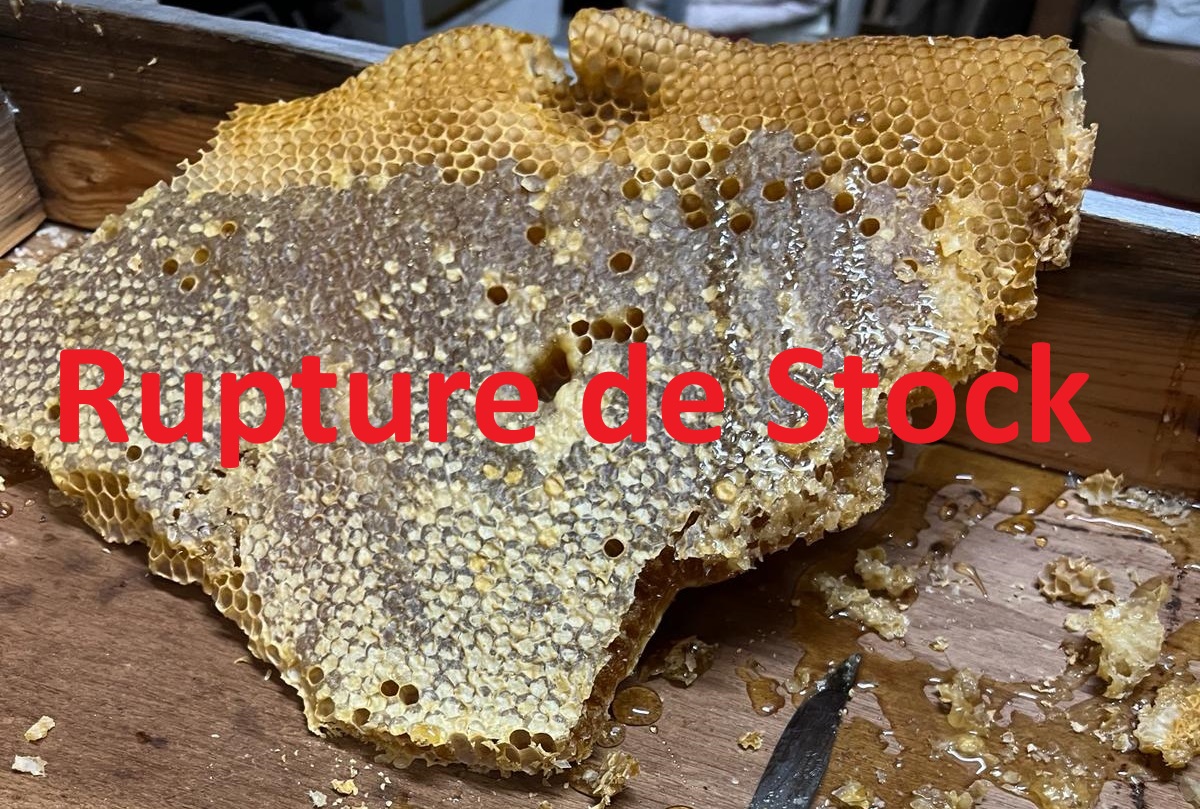 Brèche 1 - Copie