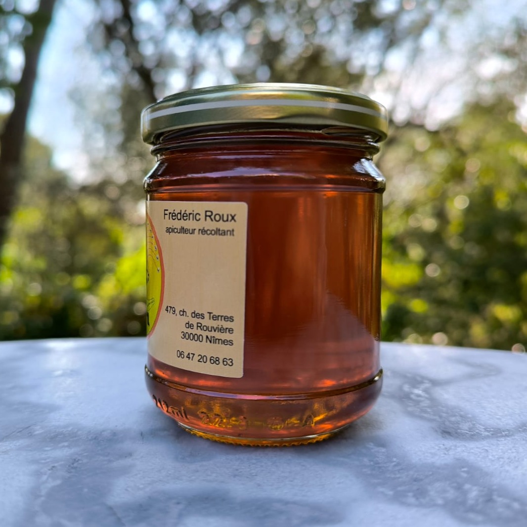 Miel de Châtaignier 250g 1