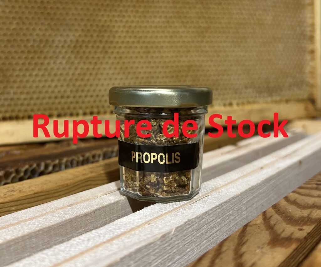 Propolis rupture de stock