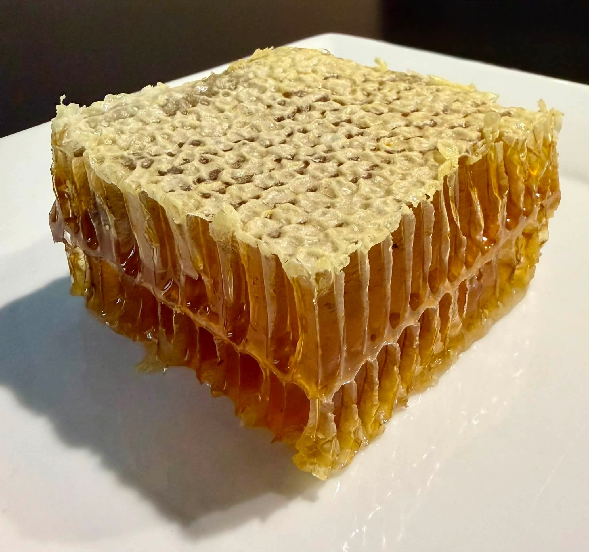 Brèche 6
